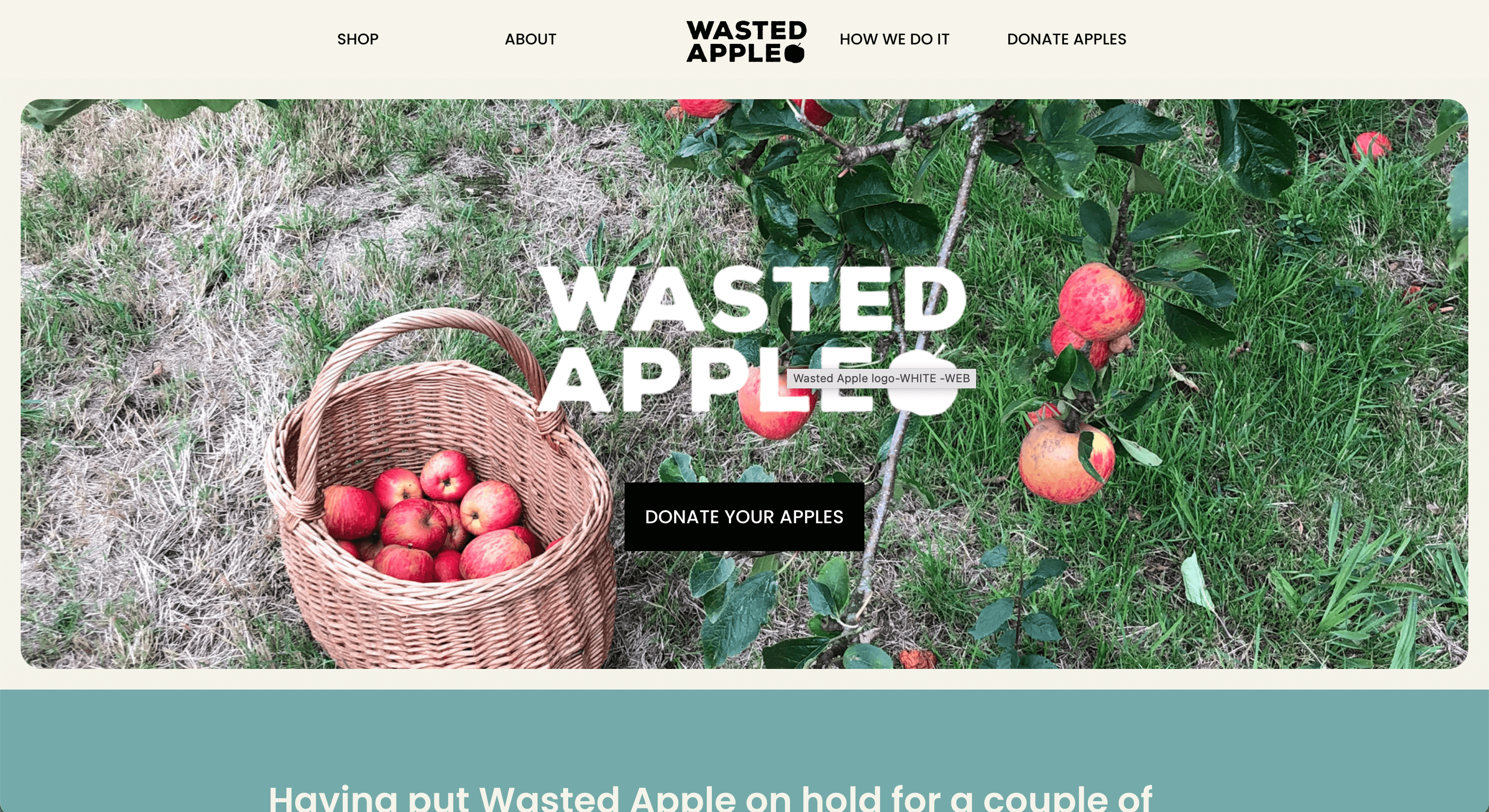 Wasted Apple